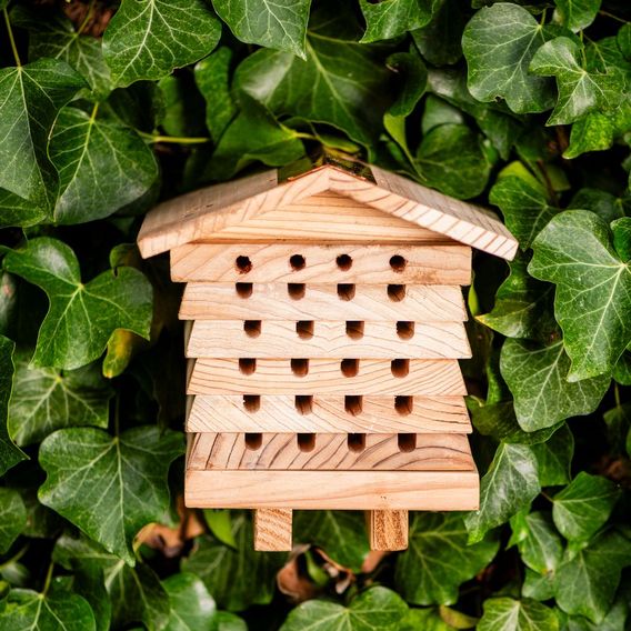 Garden Gear - Wooden Bee Hive Hotel