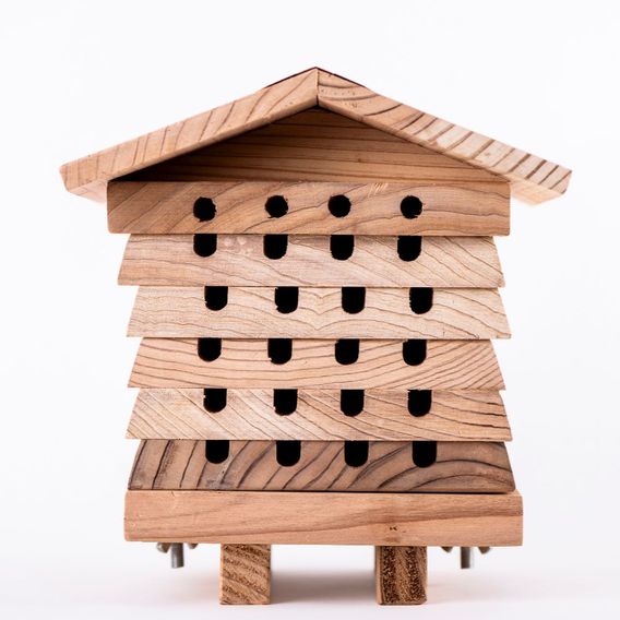 Garden Gear - Wooden Bee Hive Hotel