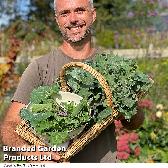 Kale Cottager's - Seeds