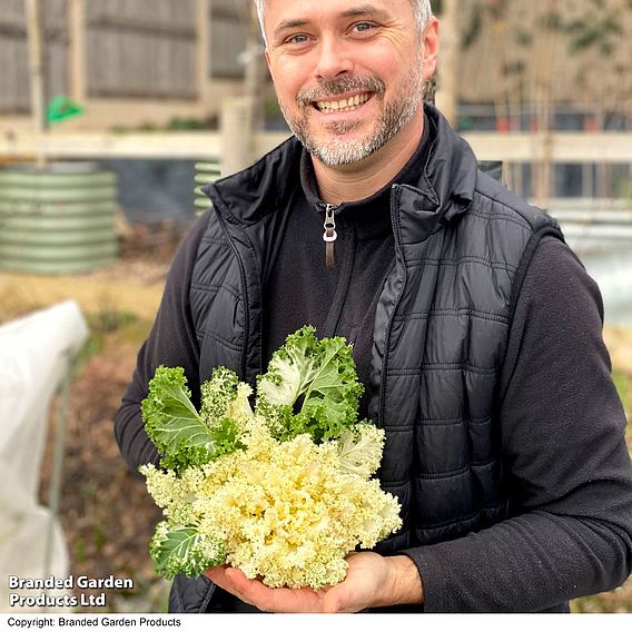 Kale 'Frost Byte' F1 - Seeds