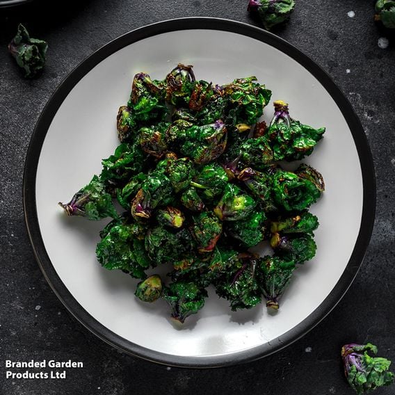 Kalette 'Flower Sprout Mix' - Gourmet Veg Seeds