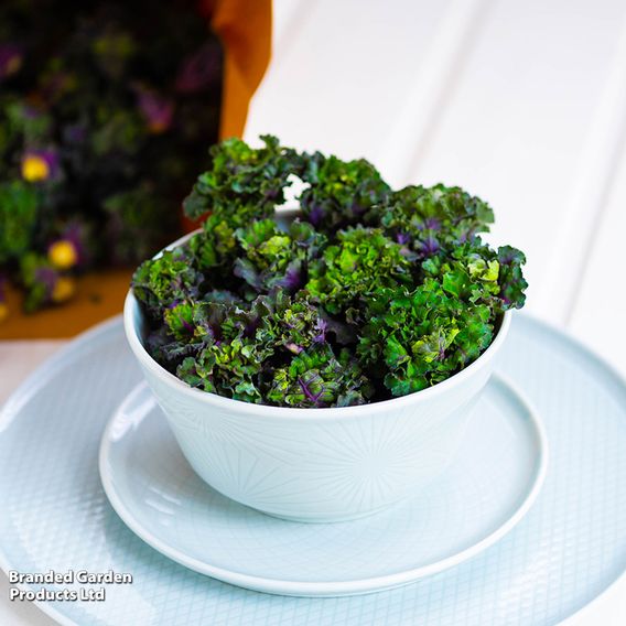 Brussels Sprout 'Kalette Flower Sprout Mix' - Seeds