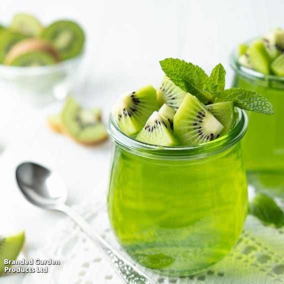 Kiwi Growers Choice