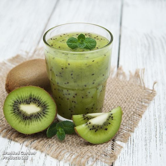 Kiwi Growers Choice