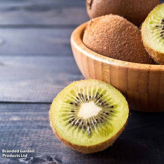 Kiwi Growers Choice