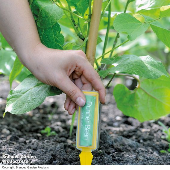 Seed Growing Kit