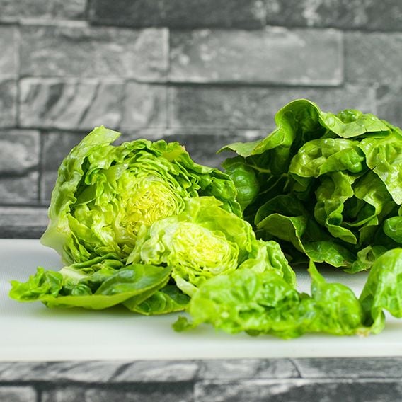 Lettuce 'Little Gem Delight' - Organic Seeds