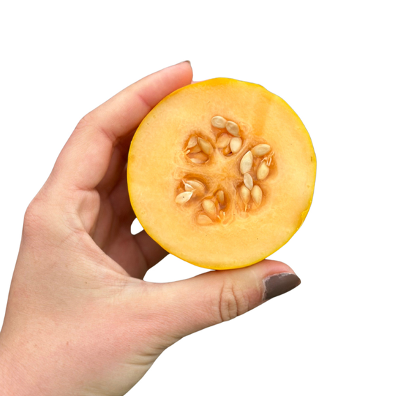 Melon 'Honey Drops Dara' F1 - Seeds
