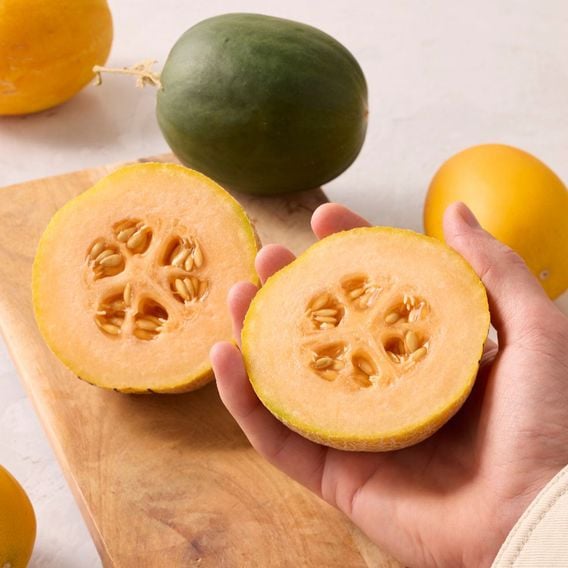 Melon 'Honey Drops Dara' F1 - Seeds