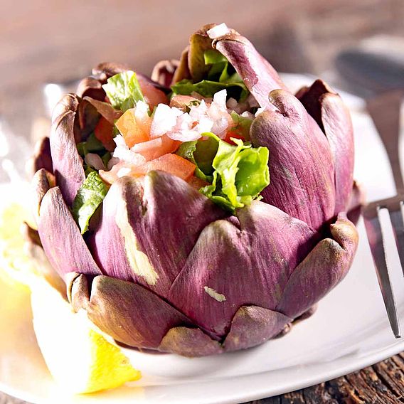 Artichoke 'Purple de Provence' - Seeds
