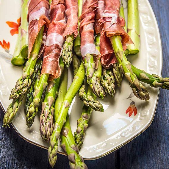 Asparagus Crowns - Continuity Collection