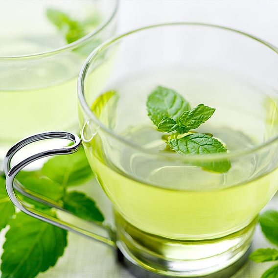 Mint - Herb Seeds