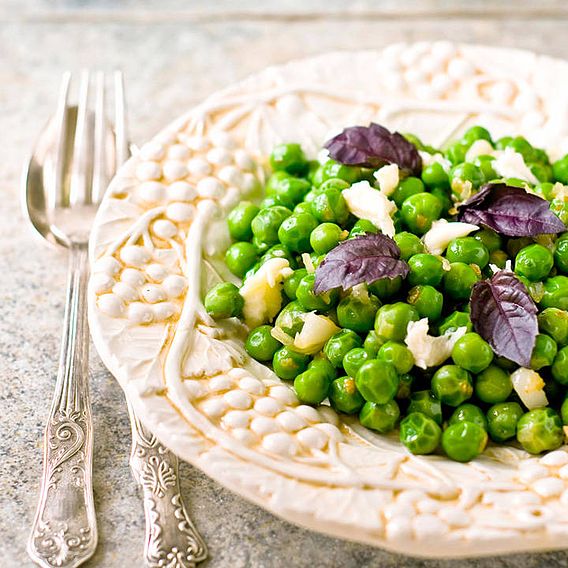 Pea 'Lincoln' - Seeds