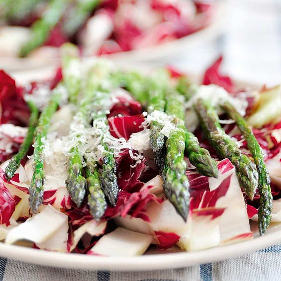 Radicchio Variegata di Castelfranco