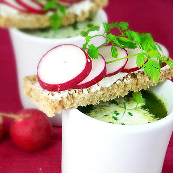 Radish 'Scarlet Globe' - Seeds