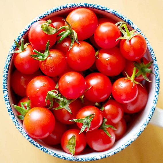 Tomato Seeds - Sweet Aperitif (Indeterminate)