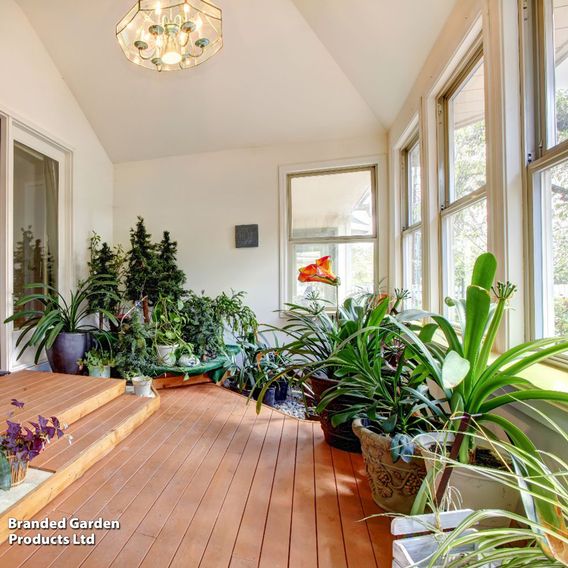 Nurseryman’s Choice House Plant Mix