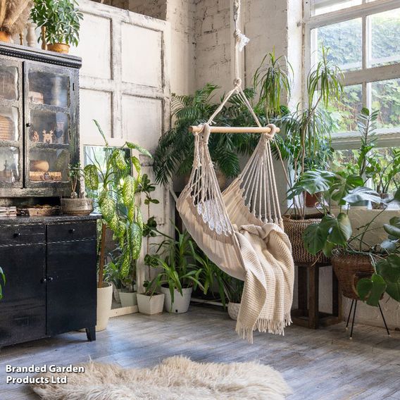 Nurseryman’s Choice House Plant Mix