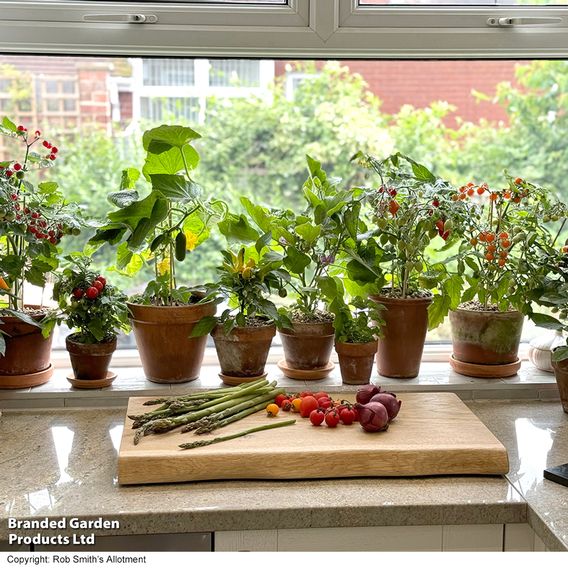 Vegetables for Small Spaces Collection
