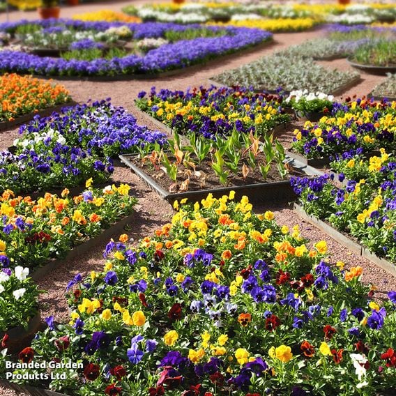 Winter Rainbow Bumper Bedding Collection