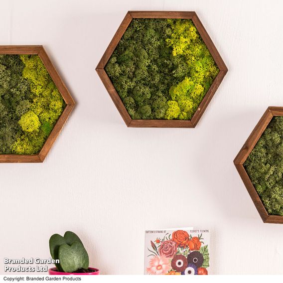 Moss Wall Art
