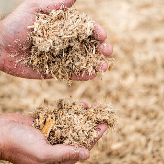 INCREDi Mulch Plus®