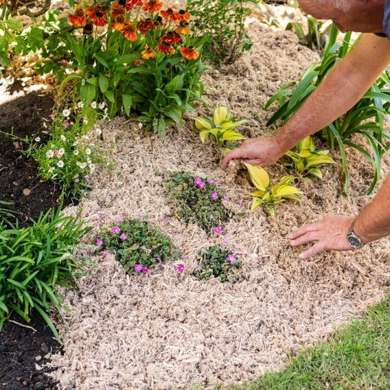 INCREDi Mulch Plus®