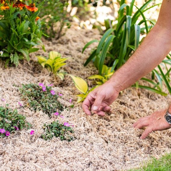INCREDi Mulch Plus®