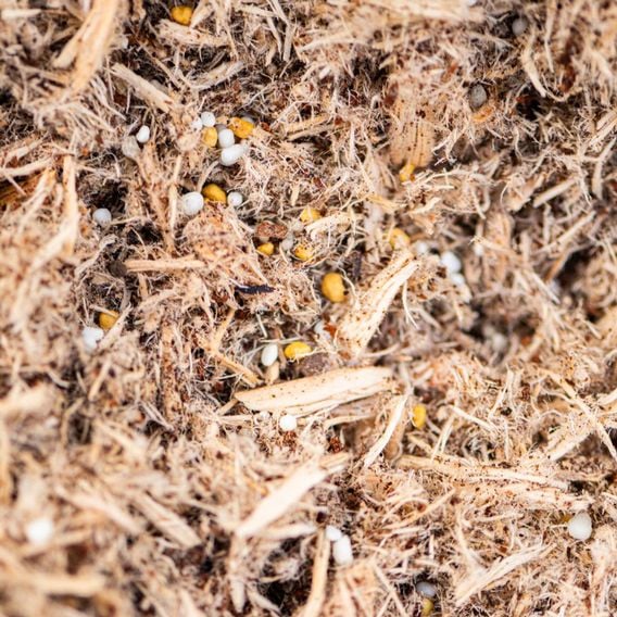 INCREDi Mulch Plus®