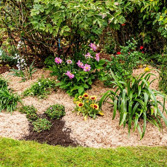 INCREDi Mulch Plus®