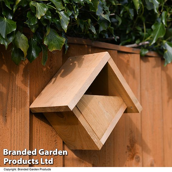 Robin Nest Box