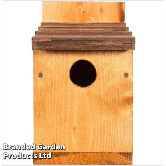 Happy Beaks - Classic Nest Box with Shingle Roof