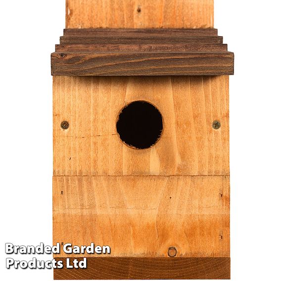 Multinester Nest Box with Shingle Roof