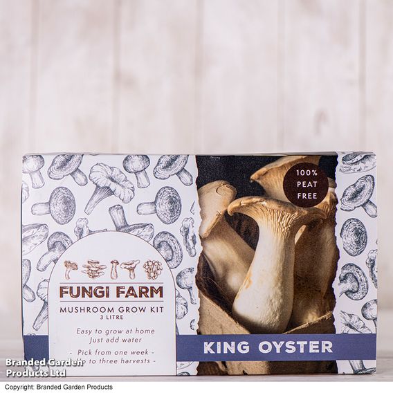 Fungi Farm Mushroom Windowsill Kit - King Oyster