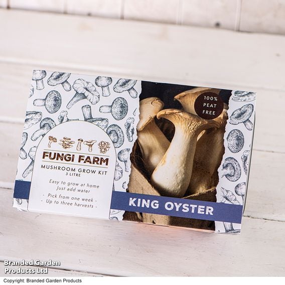 Fungi Farm Mushroom Windowsill Kit - King Oyster