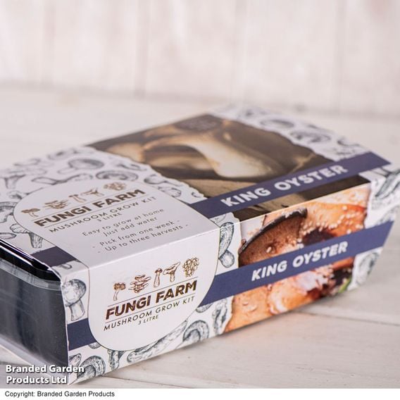 Fungi Farm Mushroom Windowsill Kit - King Oyster