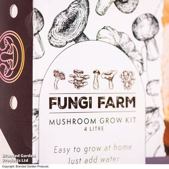 Fungi Farm Mushroom Windowsill Kit - Lion's Mane