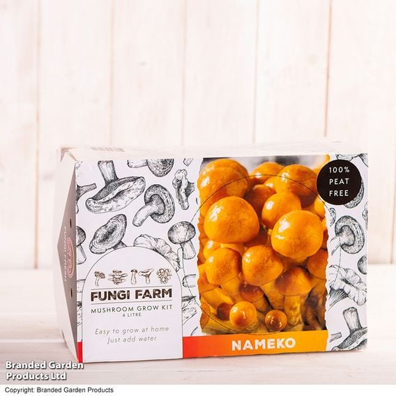 Fungi Farm Mushroom Windowsill Kit - Nameko