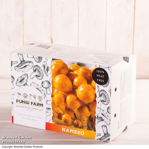 Fungi Farm Mushroom Windowsill Kit - Nameko