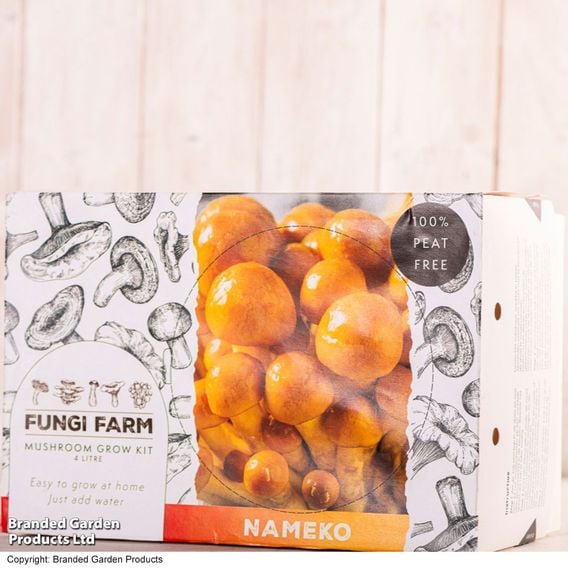 Fungi Farm Mushroom Windowsill Kit - Nameko