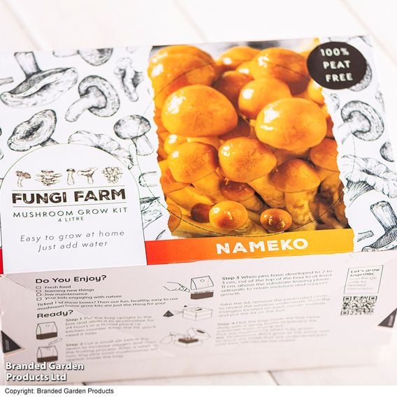 Fungi Farm Mushroom Windowsill Kit - Nameko
