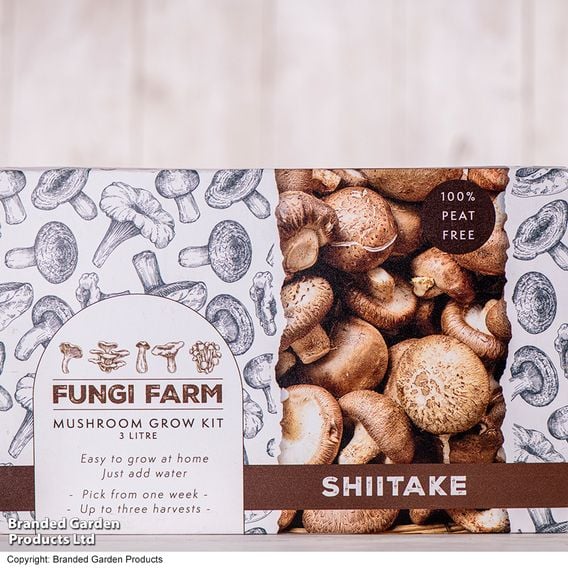 Fungi Farm Mushroom Windowsill Kit - Shiitake