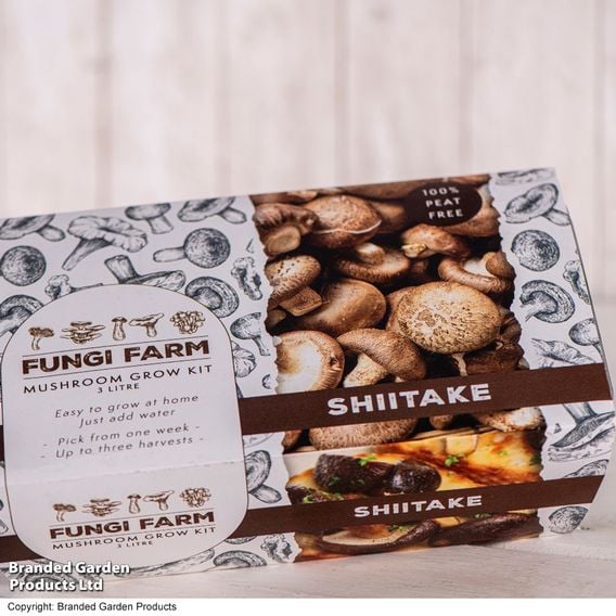 Fungi Farm Mushroom Windowsill Kit - Shiitake