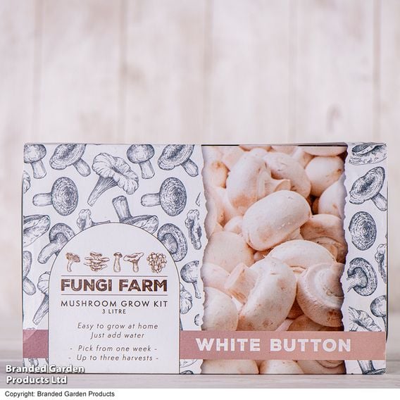 Fungi Farm Mushroom Windowsill Kit - White Button