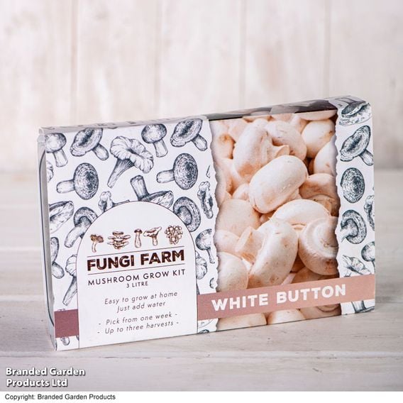 Fungi Farm Mushroom Windowsill Kit - White Button