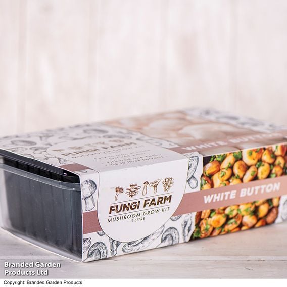 Fungi Farm Mushroom Windowsill Kit - White Button