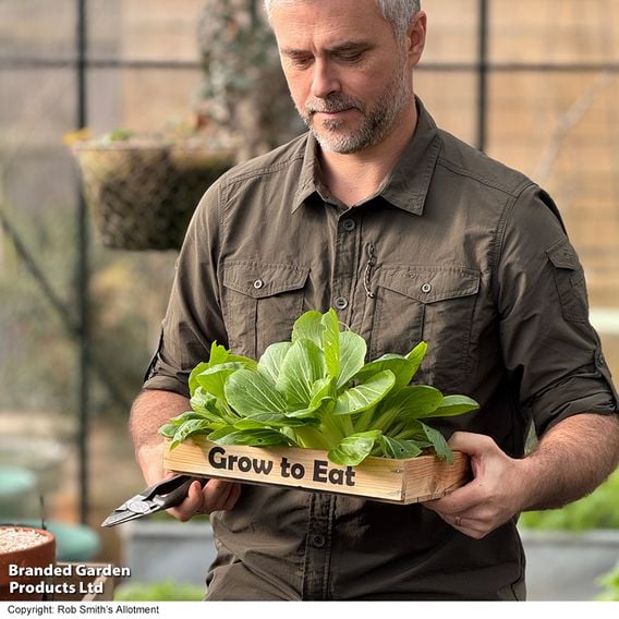 Pak Choi 'Goku' F1 - Gourmet Veg Seeds