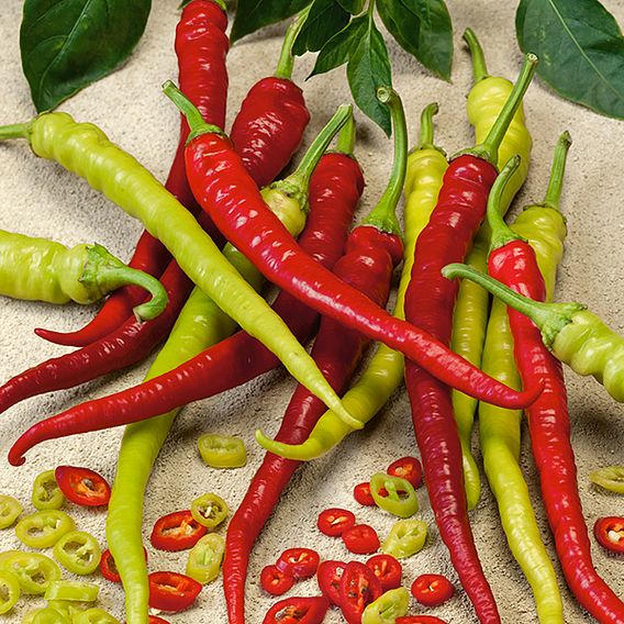 Sweet Pepper 'Spiralus' - Seeds