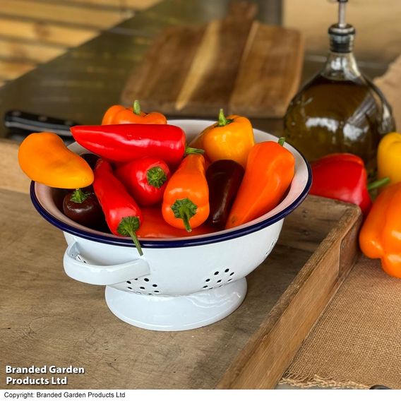 Pepper 'Super Snack' Collection