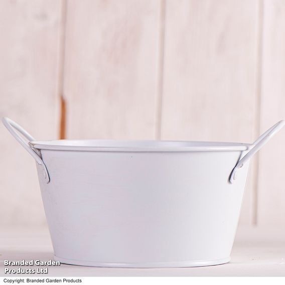 Metal Bowl Planter with Handles